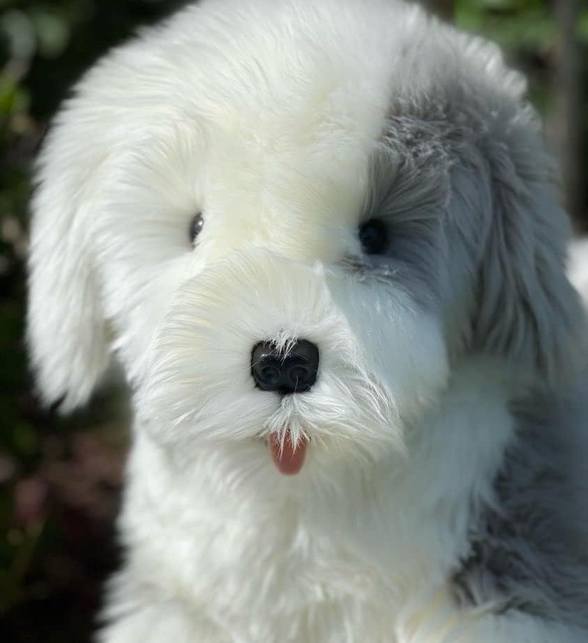 Plush Old English Sheepdog Large Size Realistic Beautiful Quality!、mySite、g9winljtr