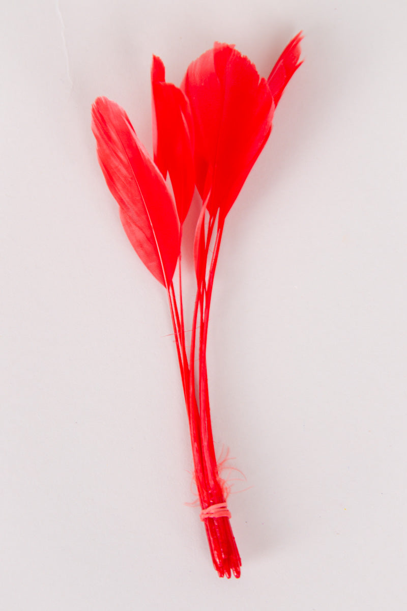 Stripped Coque Feathers Bundle of 8- Red Rubber Band、mySite、hinf8tx79