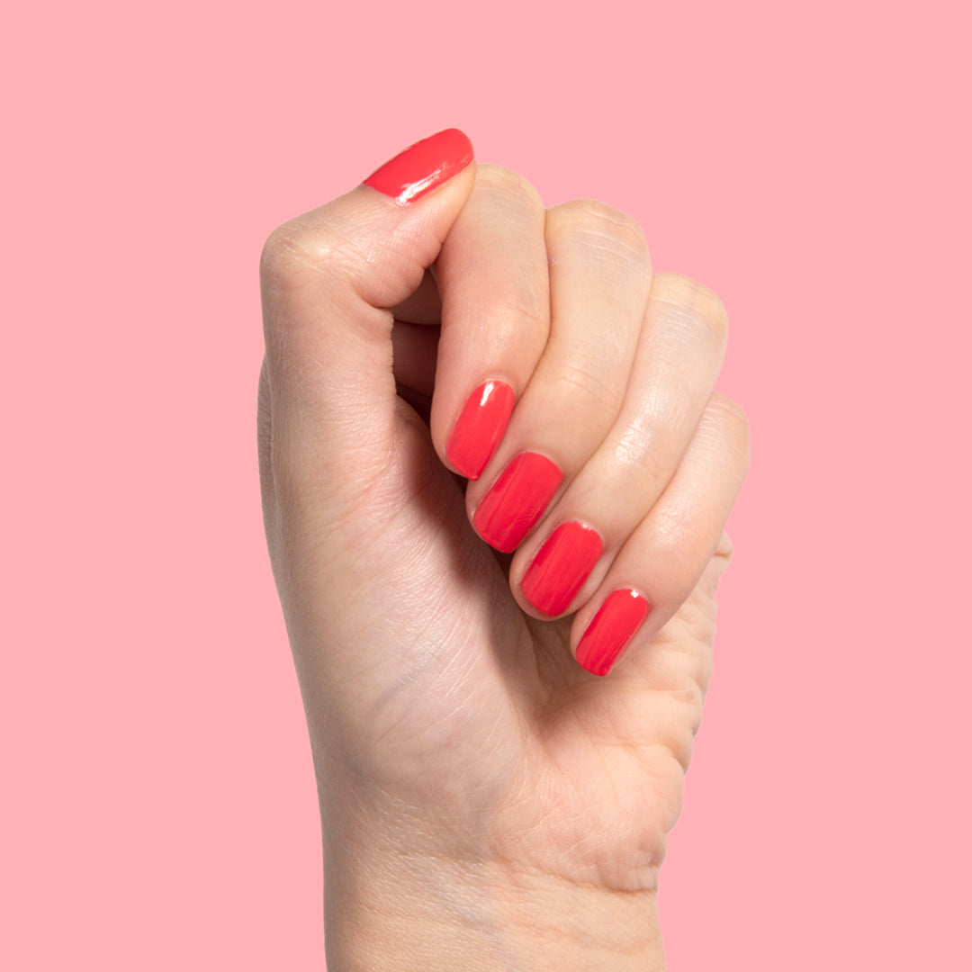 Picante、mySite、solidvoid