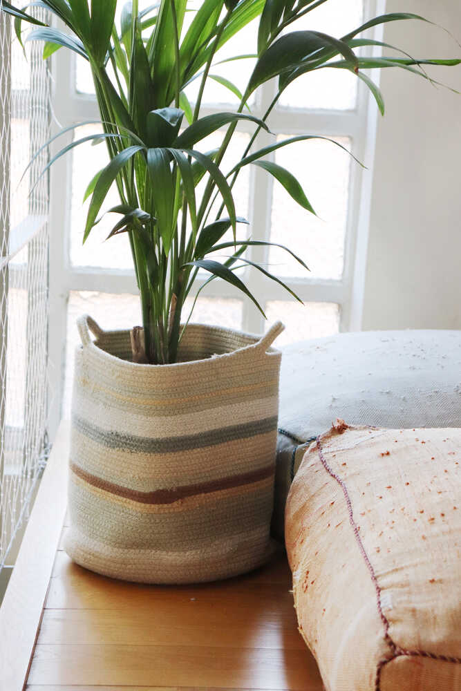 STORAGE BASKET TRIPLET、mySite、gigharbornorthrealestate