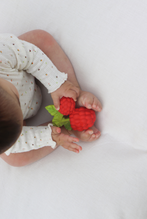 Valery the Raspberry、mySite、g9winljtr