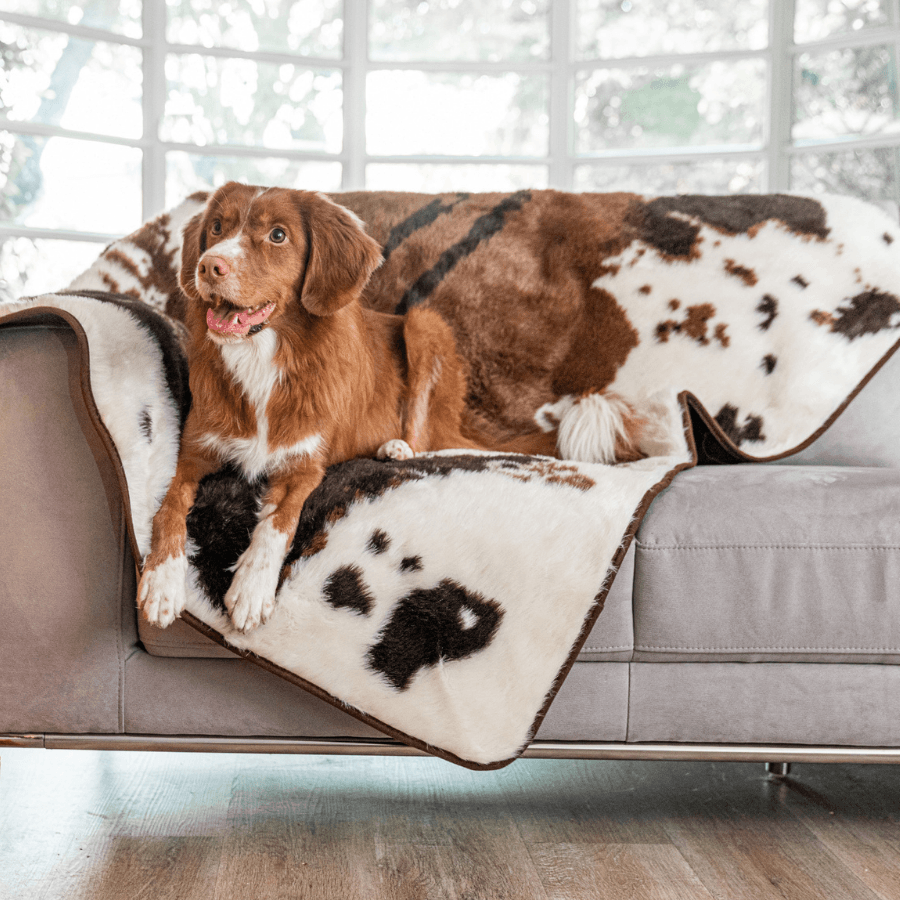 Paw.com x BarkBox PupProtector™ Waterproof Throw Blanket - Brown Faux Cowhide、mySite、solidvoid
