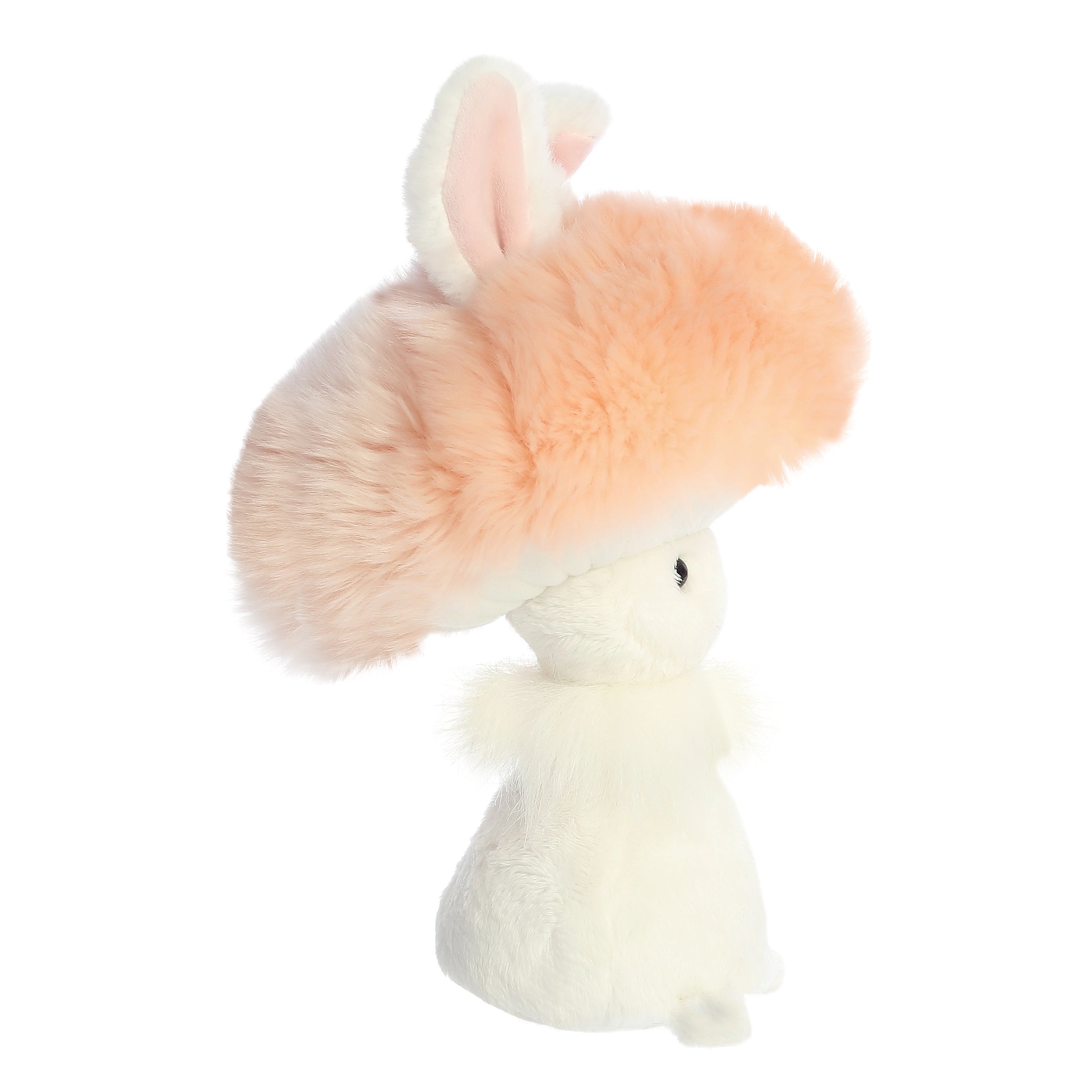 Aurora® - Spring - Fungi Friends™、mySite、g9winljtr