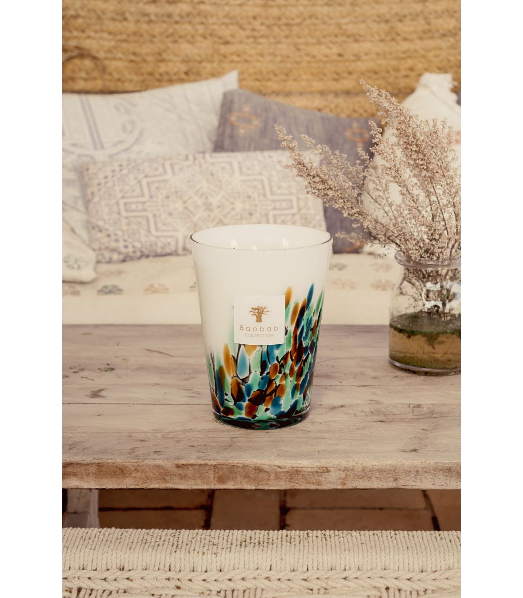  Baobab Rainforest Amazonia、mySite、elrpsem3k