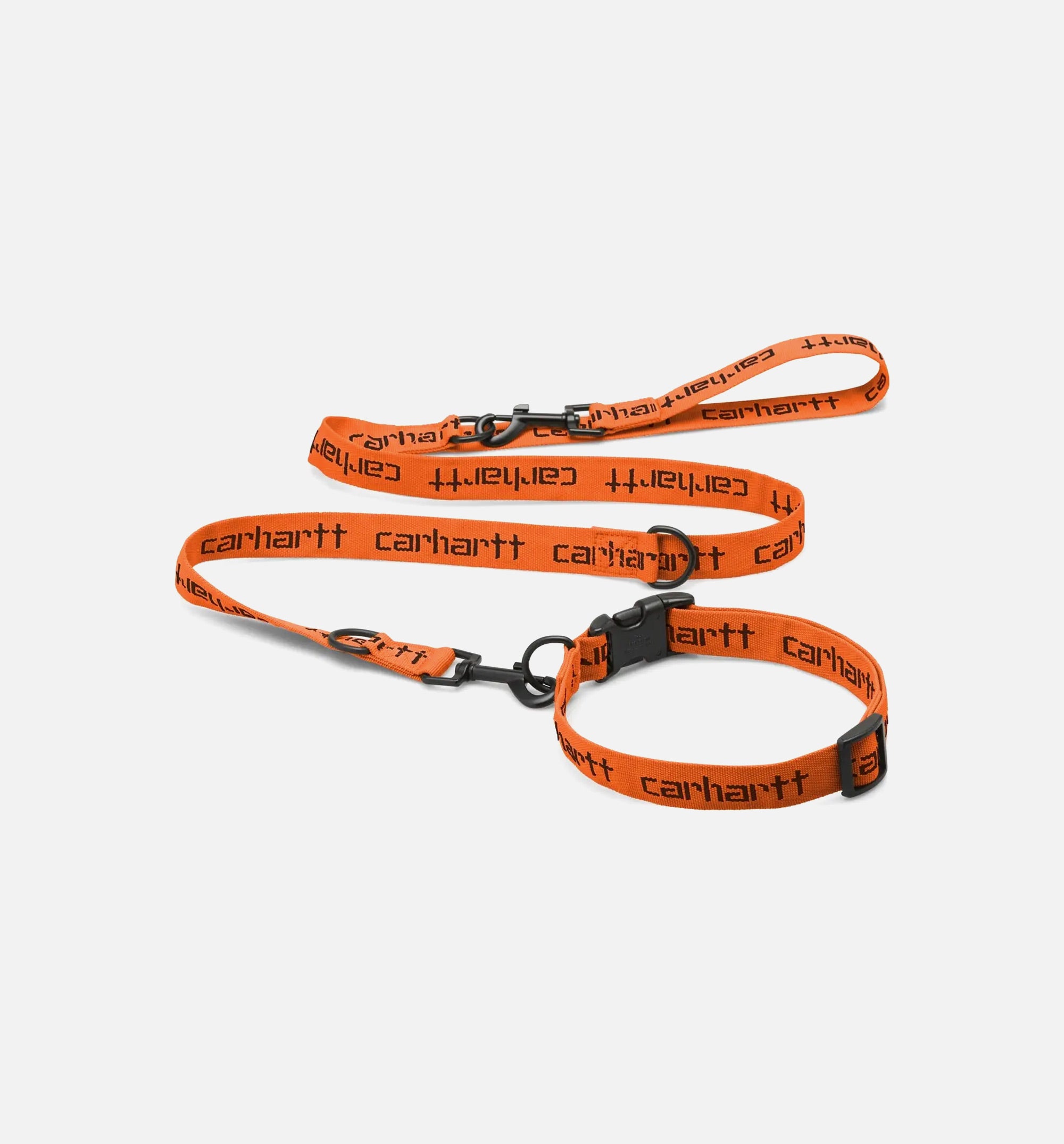 Script Dog Leash & Collar- Orange、mySite、dreamappss