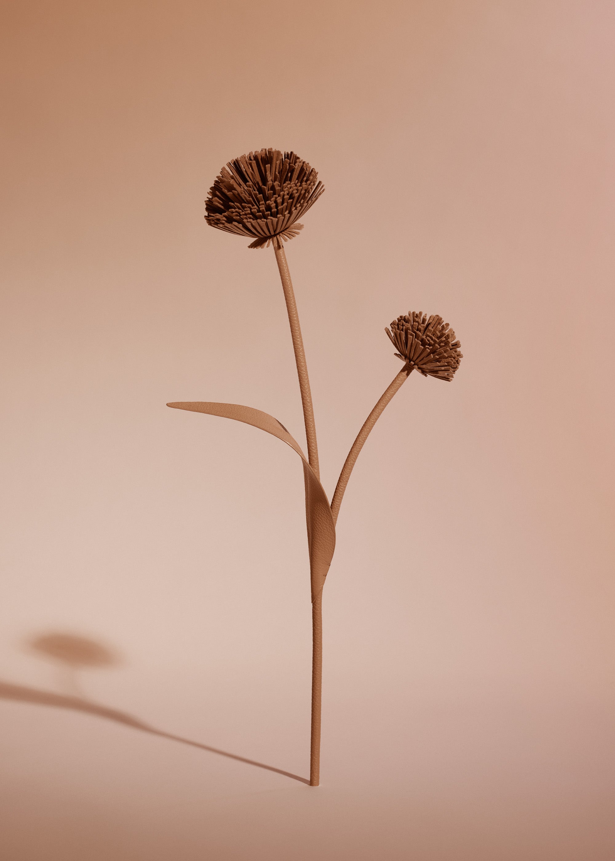 Fleur Tul - Duo Tan Grain茅、mySite、camillekostekn