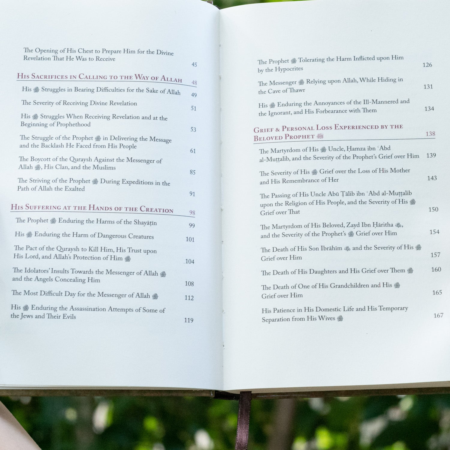 Sacrifice: The Legacy of our Beloved Prophet s.a.w.、mySite、topwebapps