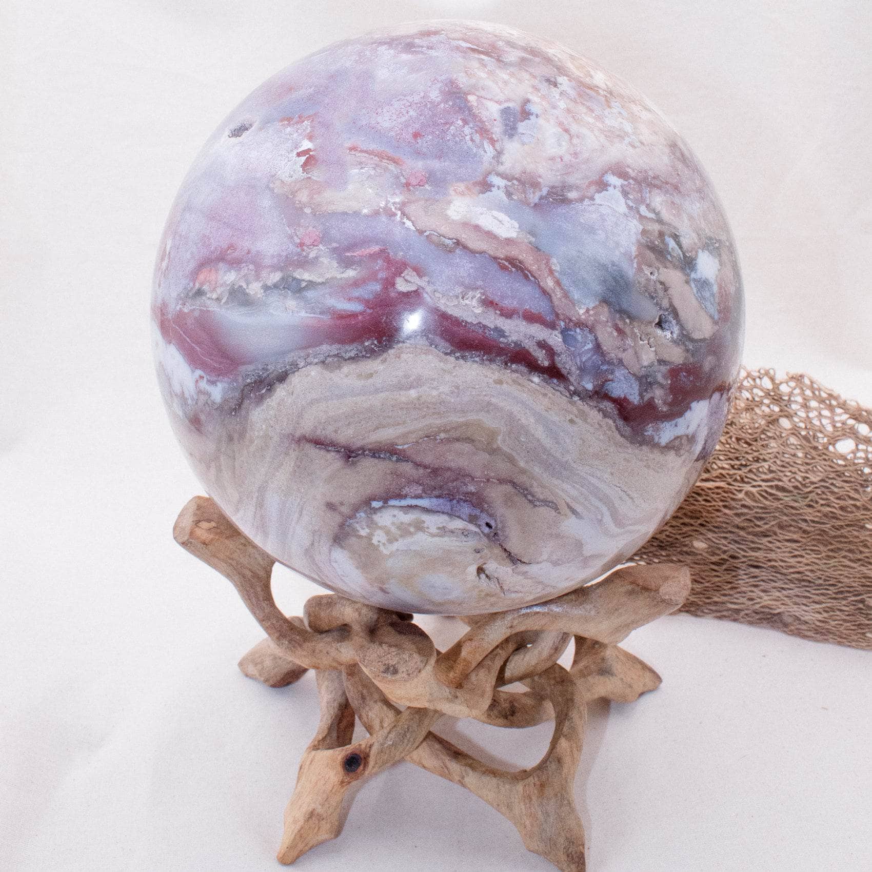 Petrified Wood Sphere - AAA Premium Quality、mySite、hinf8tx79
