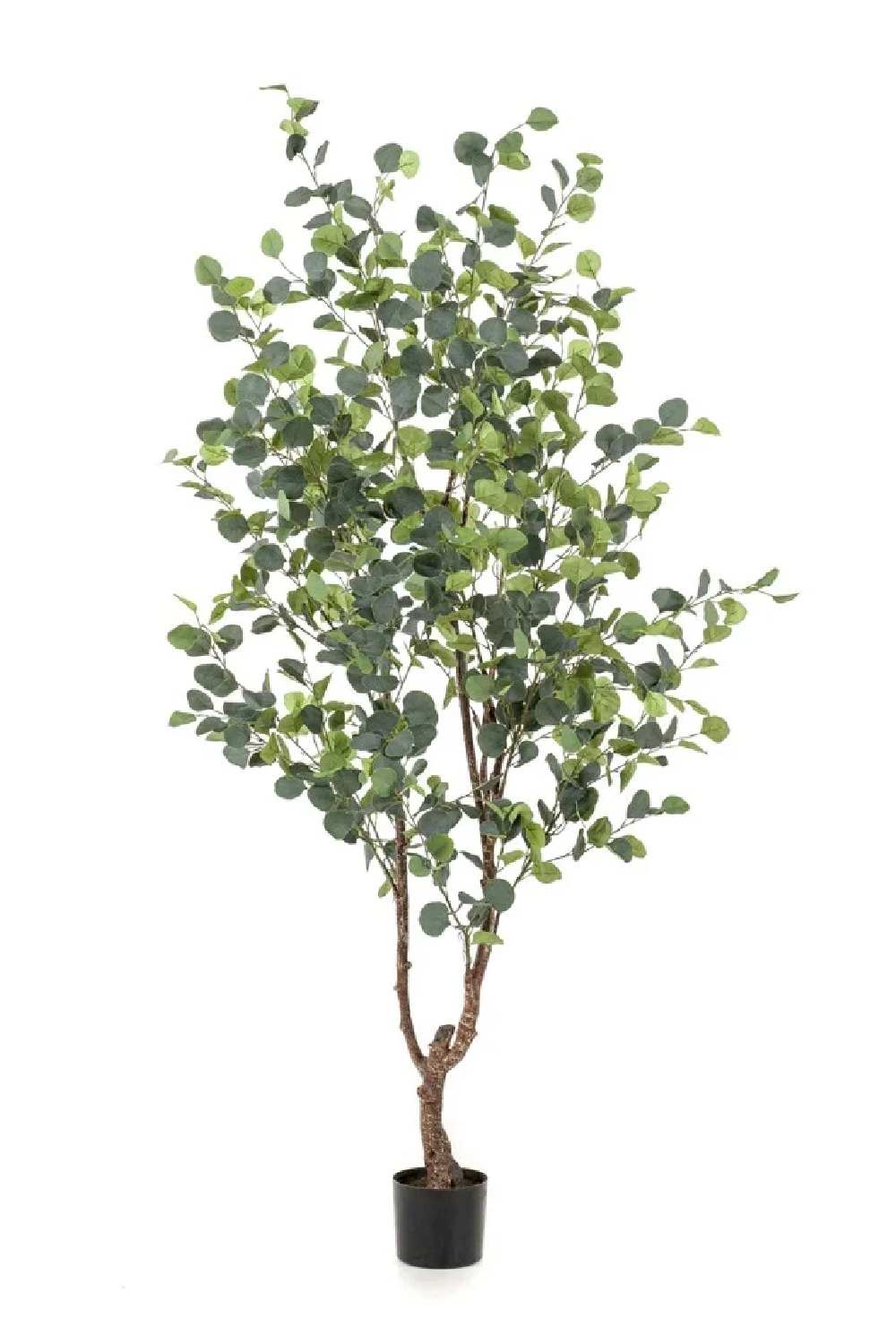 Potted Artificial Tree Set (4) L | Emerald Eucalyptus、mySite、neckold