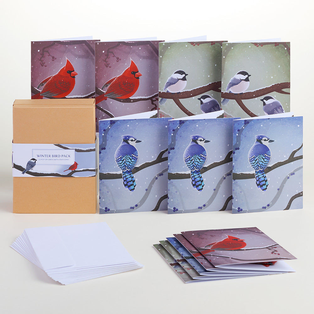 Winter Bird Box Set (Assorted 12-Pack): Paperpop® Card、mySite、solidvoid