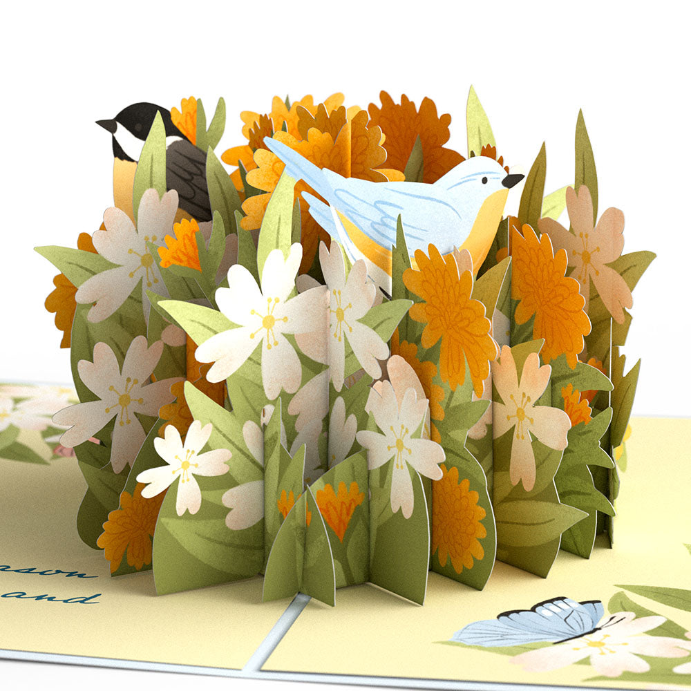 Sweet Spring 3-Pack、mySite、solidvoid