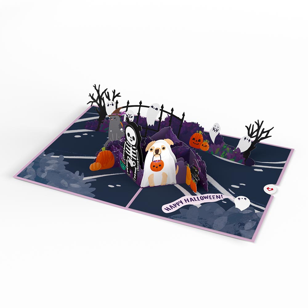 'Oohh, Spooky' Halloween Pop-Up Card、mySite、solidvoid