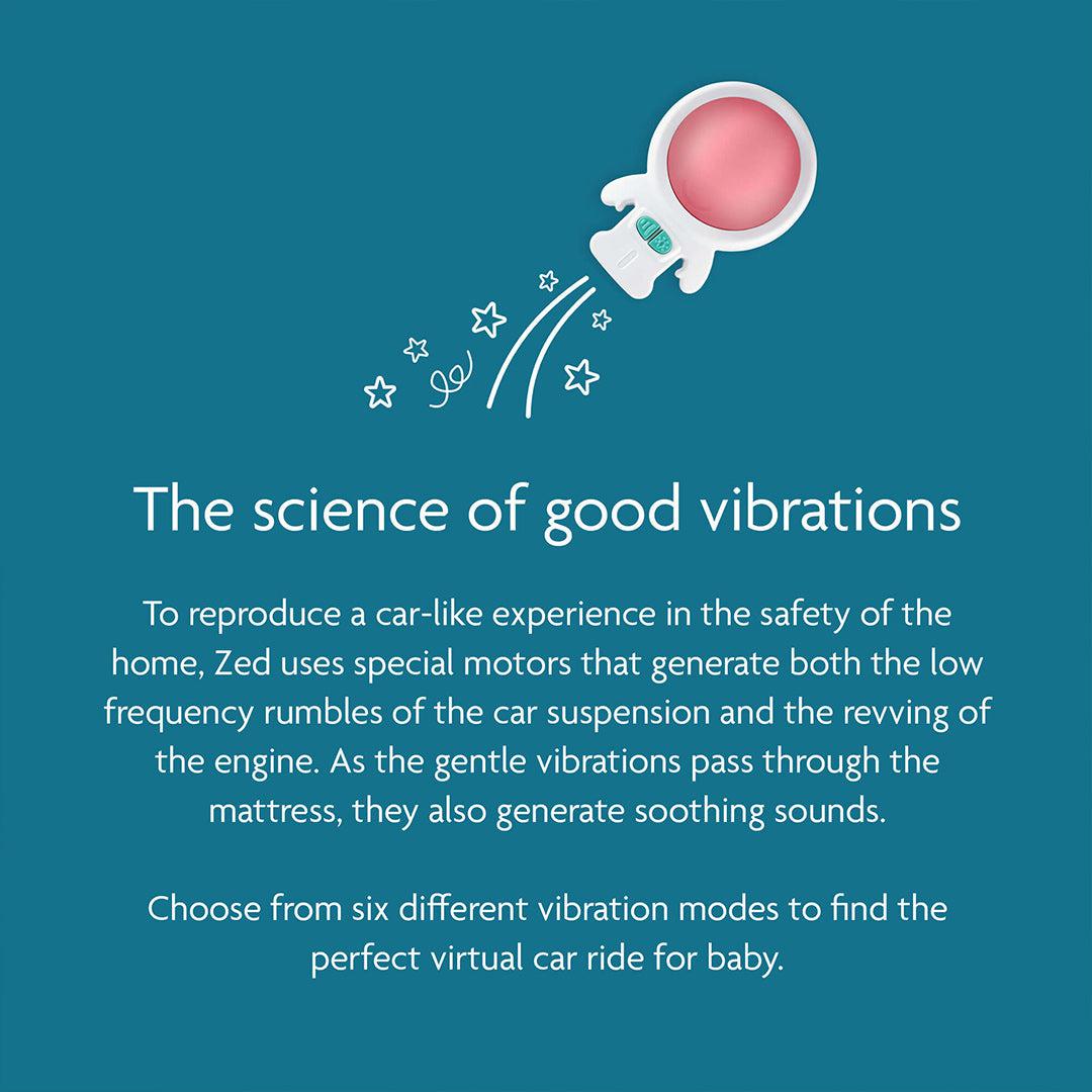  Rockit Zed、mySite、merchandisen