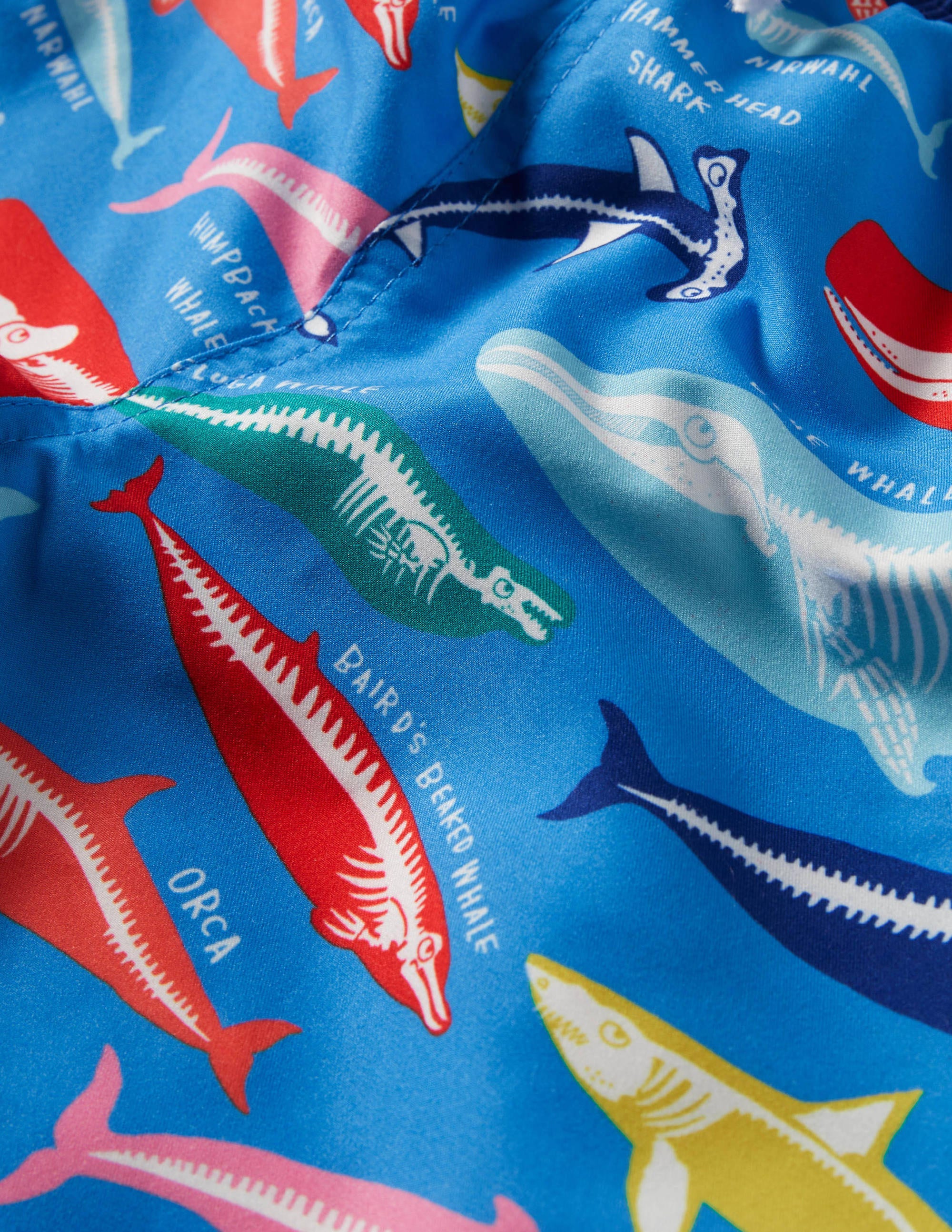  Swim Shorts-Malibu Blue, Whale Bones、mySite、ashleygrahame