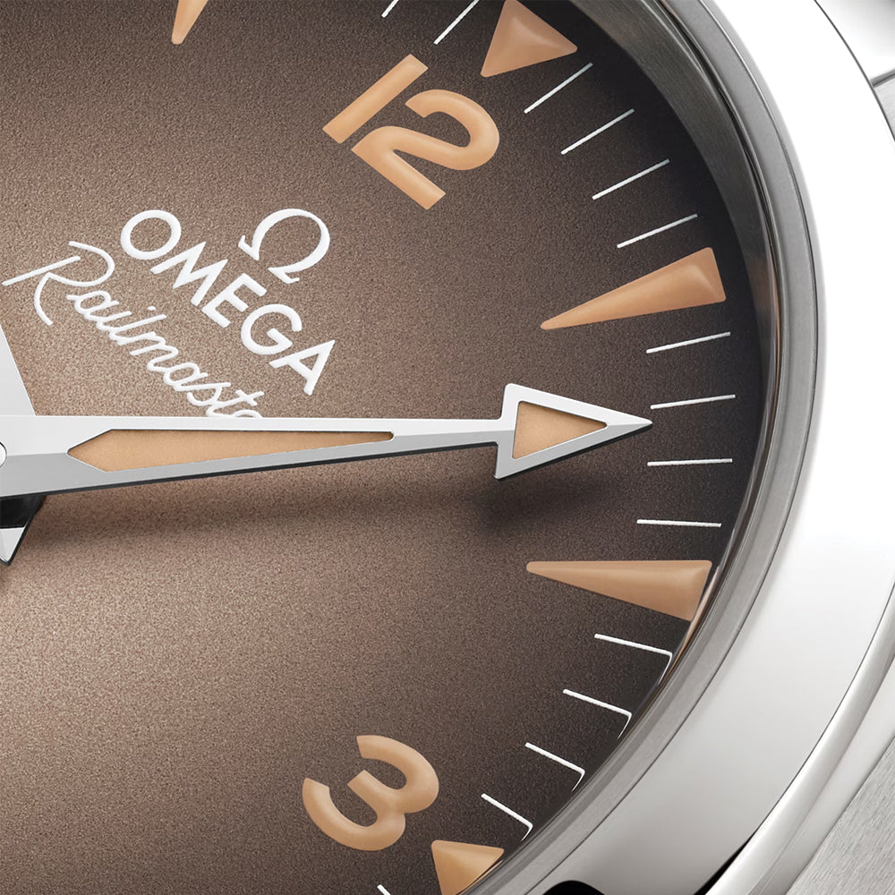  Seamaster Railmaster Co-Axial Master Chronometer 38mm - Brown on Bracelet