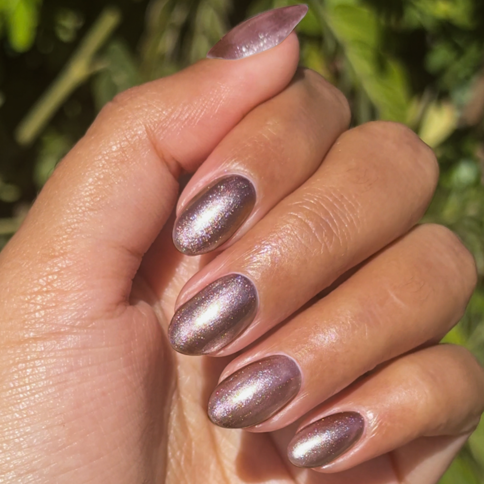 Bronze Velvet、mySite、solidvoid