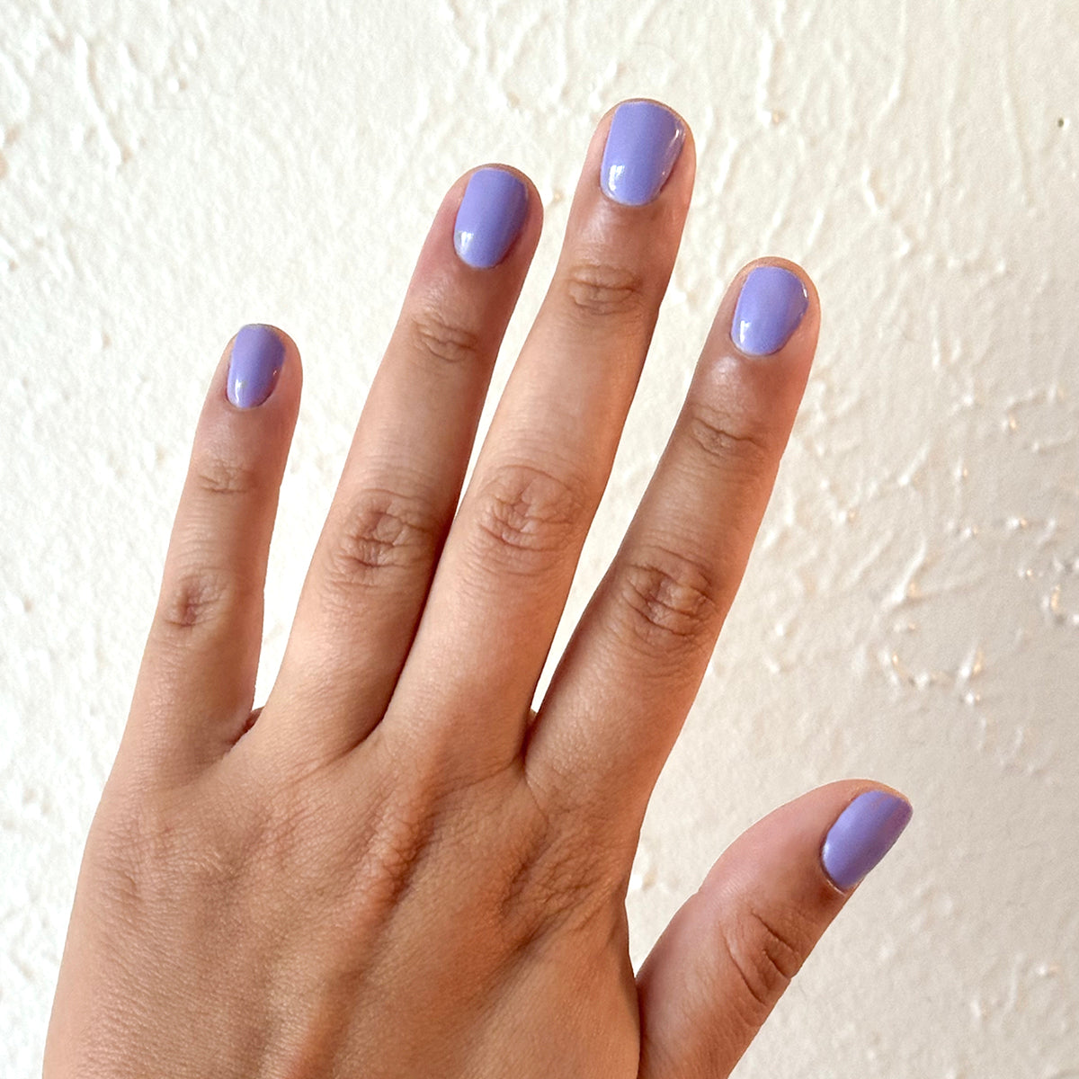 Bold & Unshaken - Gel、mySite、solidvoid