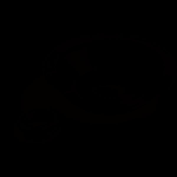  Wethepeople Helix DSG Nylon Rear Hub Guard、mySite、merchandisen