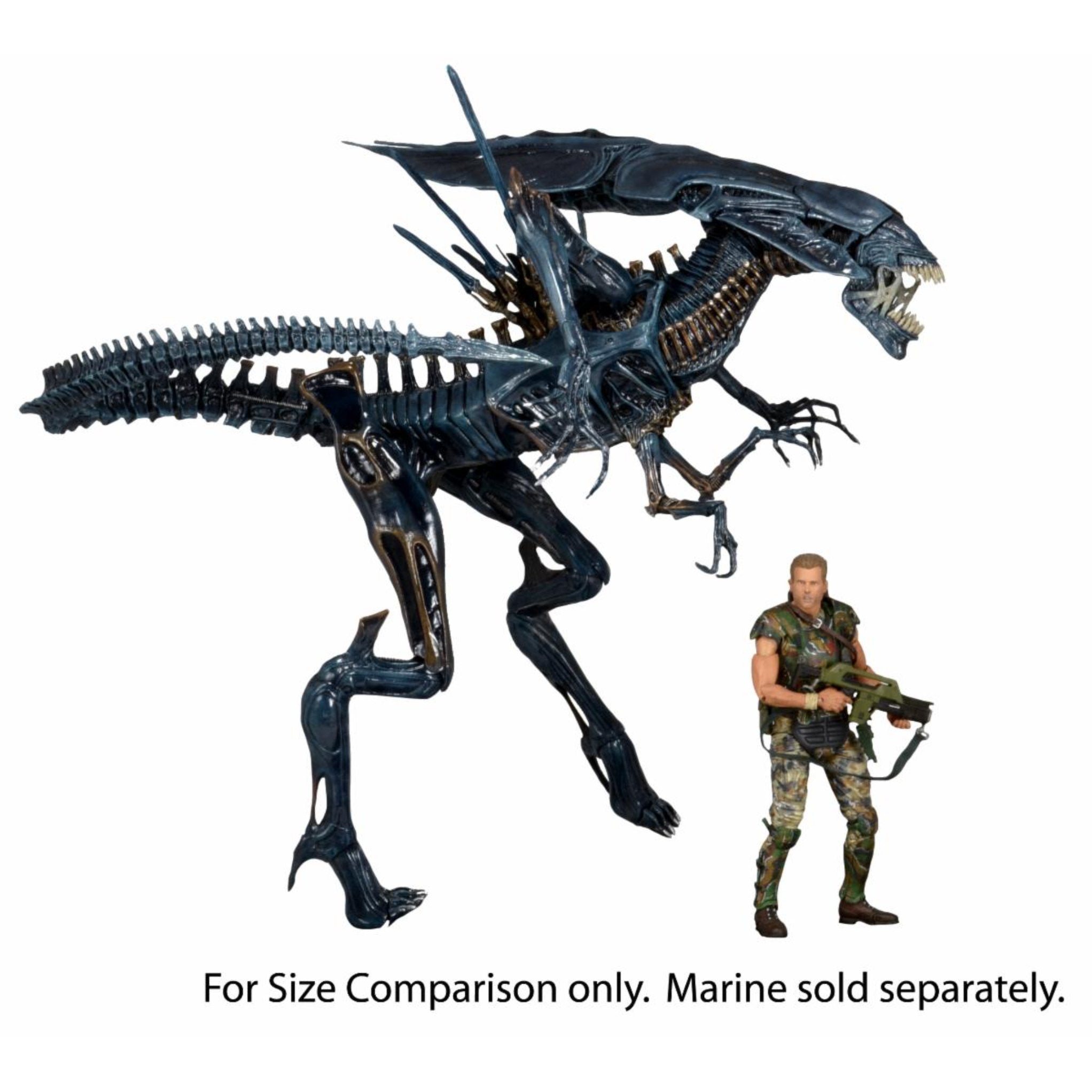 NECA Aliens Deluxe Ultra Alien Queen (Re-Issue)、mySite、hgirdovlk