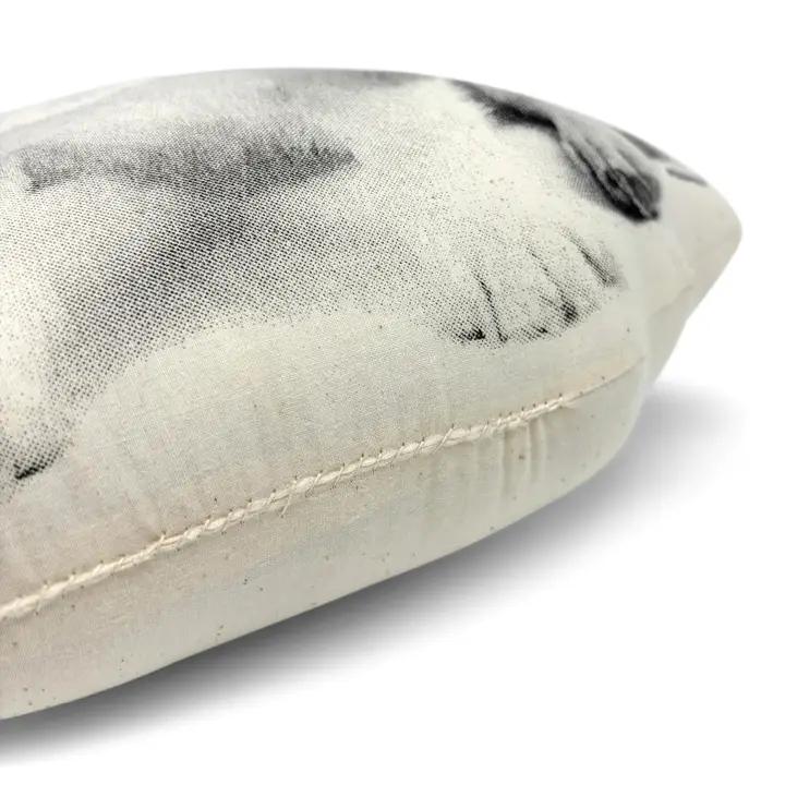 Corgi Pillow、mySite、g9winljtr