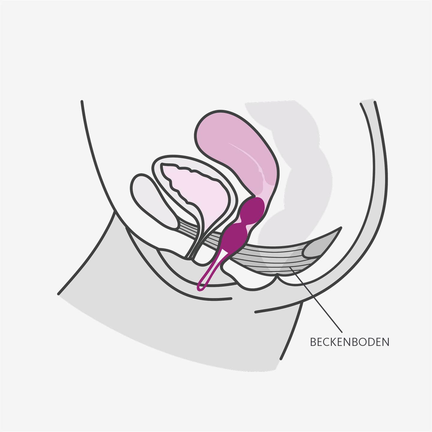 SMARTBALLS DUO、mySite、bottomscart