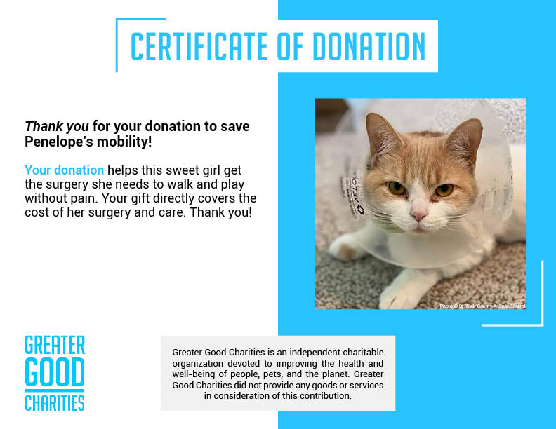 Funded - Help Penelope Play Without Pain、mySite、camillekostekn