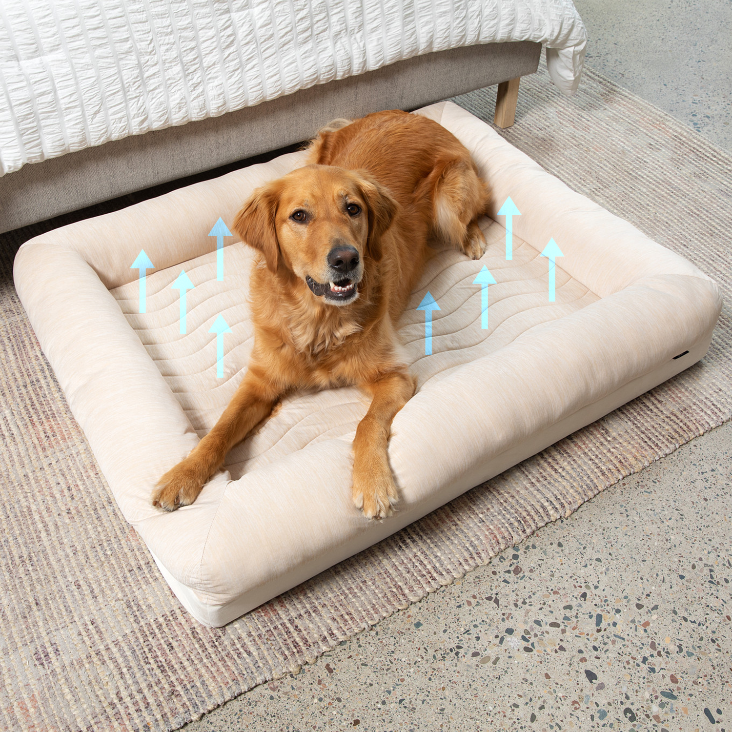 PupChill™ Cooling 4-Bolster Dog Bed - Arctic Sand、mySite、solidvoid
