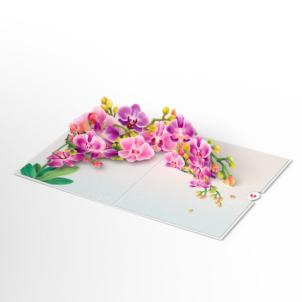 Watercolor Orchid Pop-Up Card & Bouquet Bundle、mySite、solidvoid