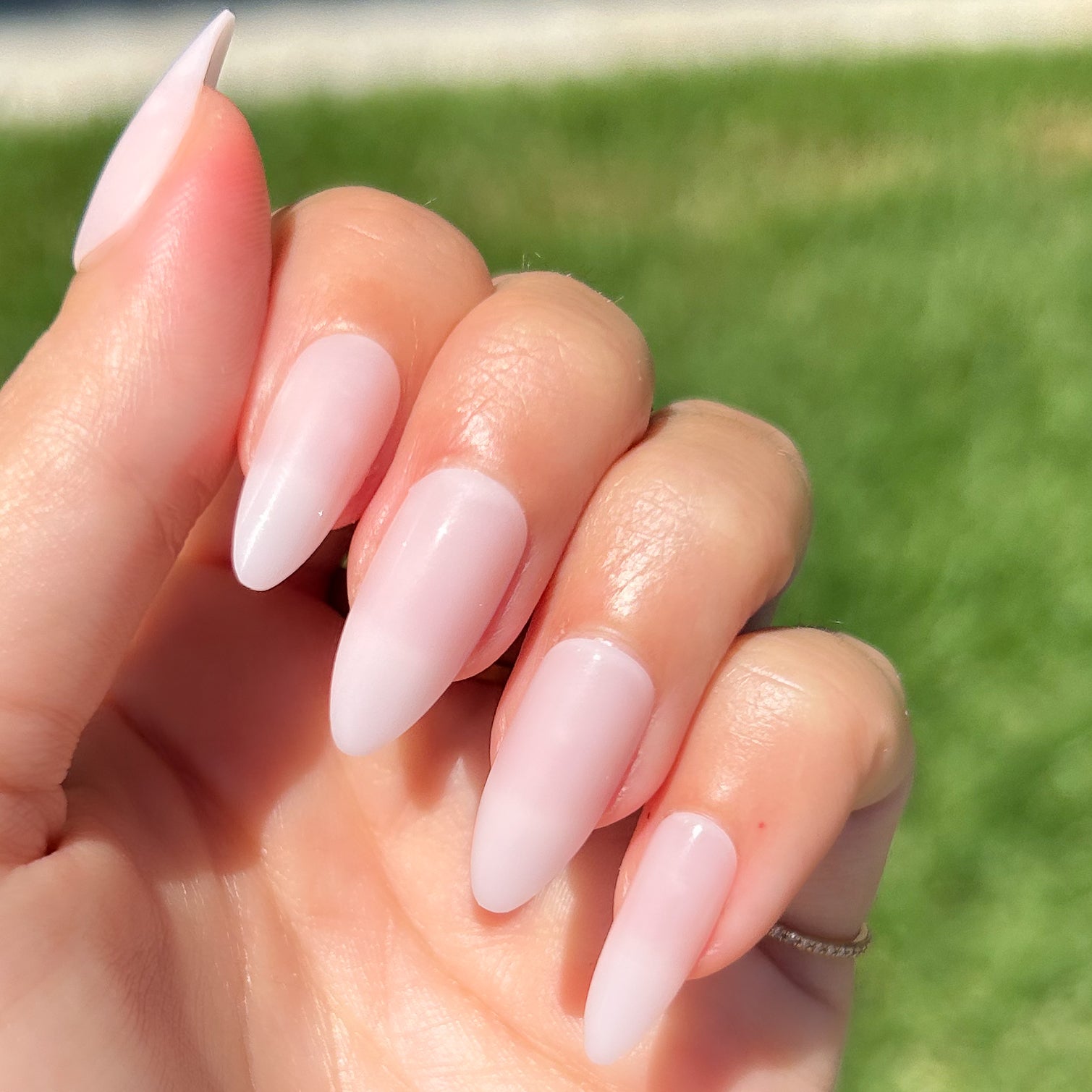 CCT - Press-On | Long | Almond、mySite、solidvoid