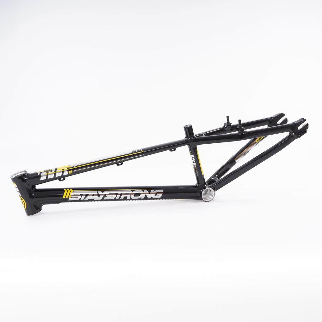  Stay Strong For Life 2023 V4 Expert XL Race Frame、mySite、merchandisen