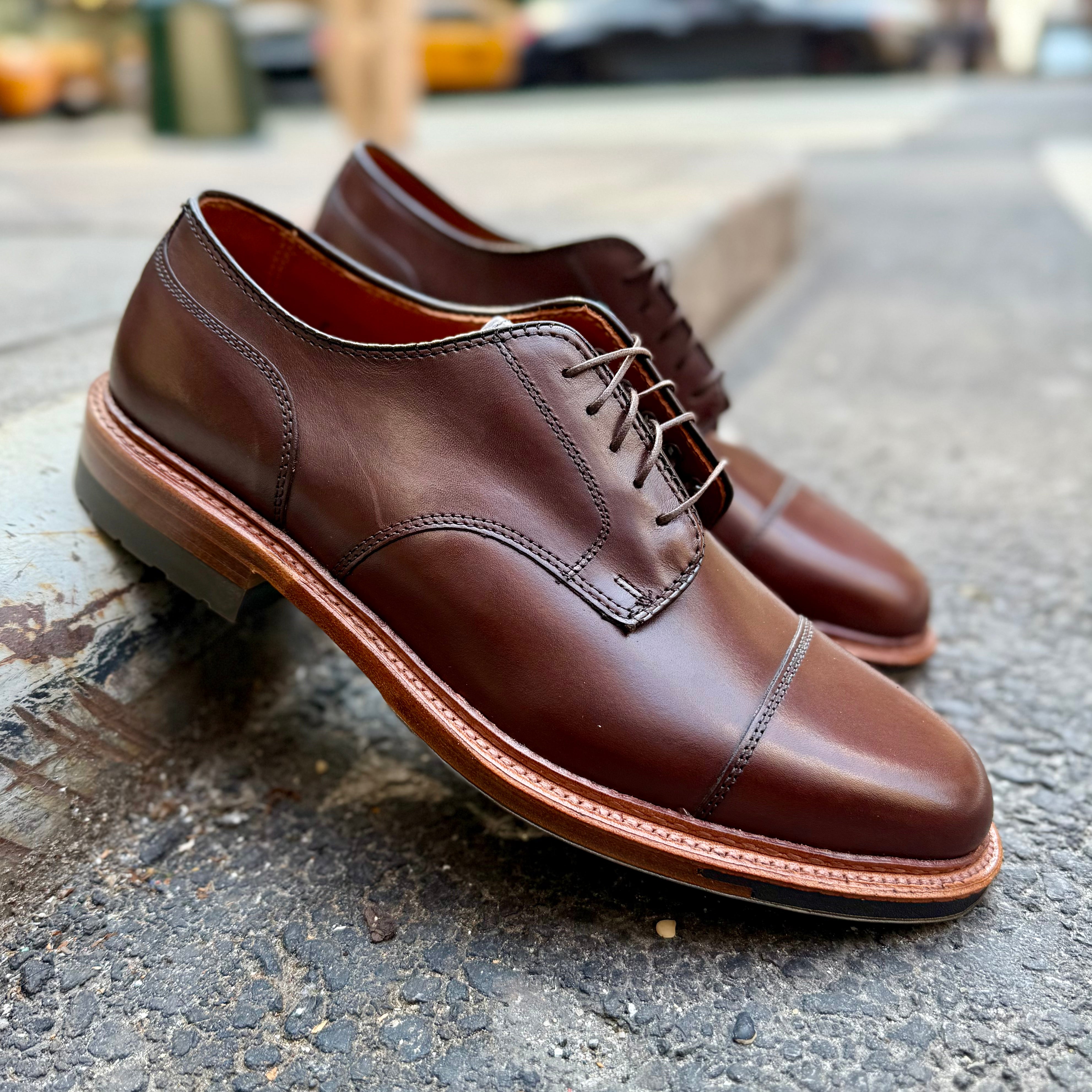  22531C - Brown Calf DeRosa Cap Toe、mySite、preschool7hills