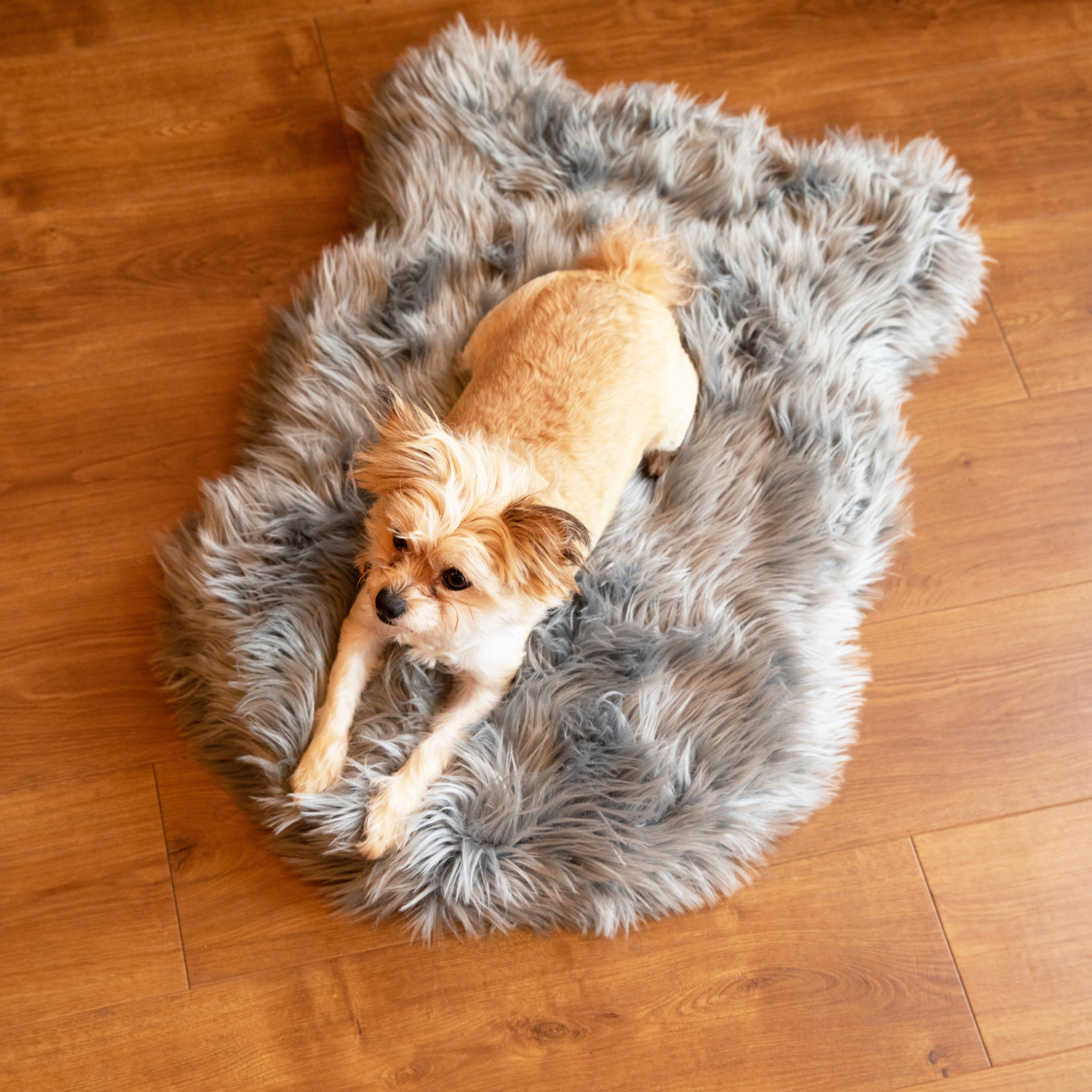 PupRug by Paw.com™ Faux Fur Orthopedic Dog Bed - Curve Charcoal Grey、mySite、solidvoid