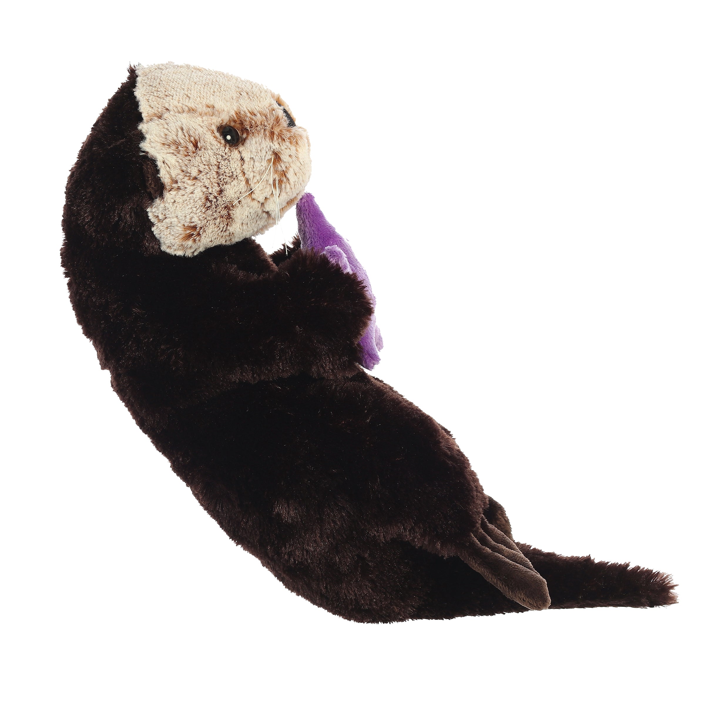 Aurora® - Destination Nation™ - 13 Sea Otter、mySite、g9winljtr