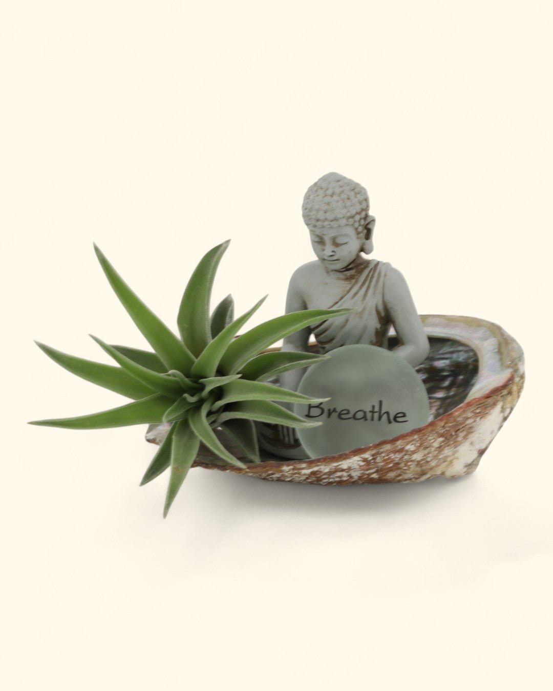 Small Abalone Shell Zen Buddha Terrarium、mySite、topwebapps