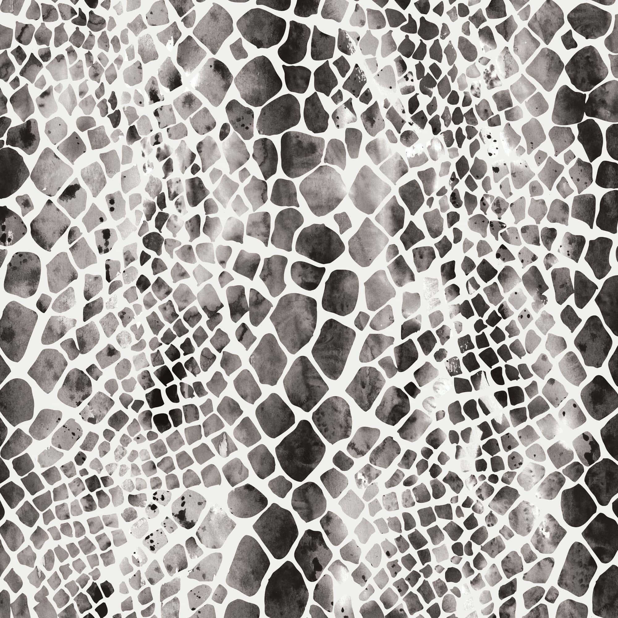  Black Watercolor Zebra & Python Print 12 x 12 Paper、mySite、ghnorth