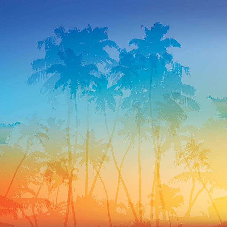  Scrapbook Paper - Tropical Breeze、mySite、ghnorth
