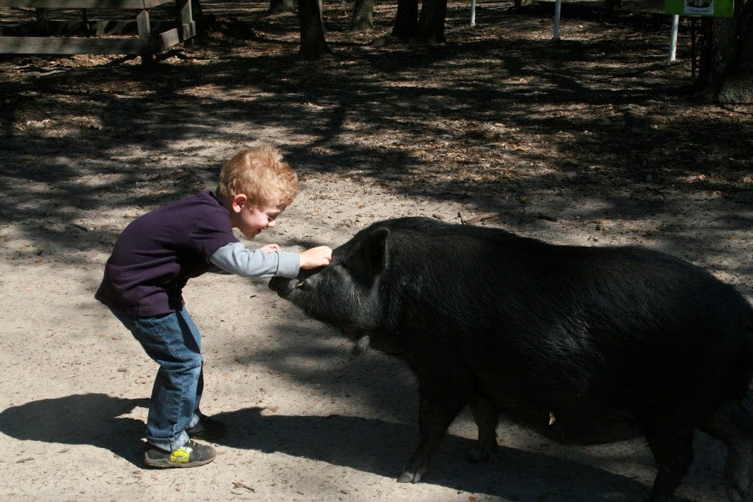 Rooterville Guest Rentals、mySite、g9winljtr