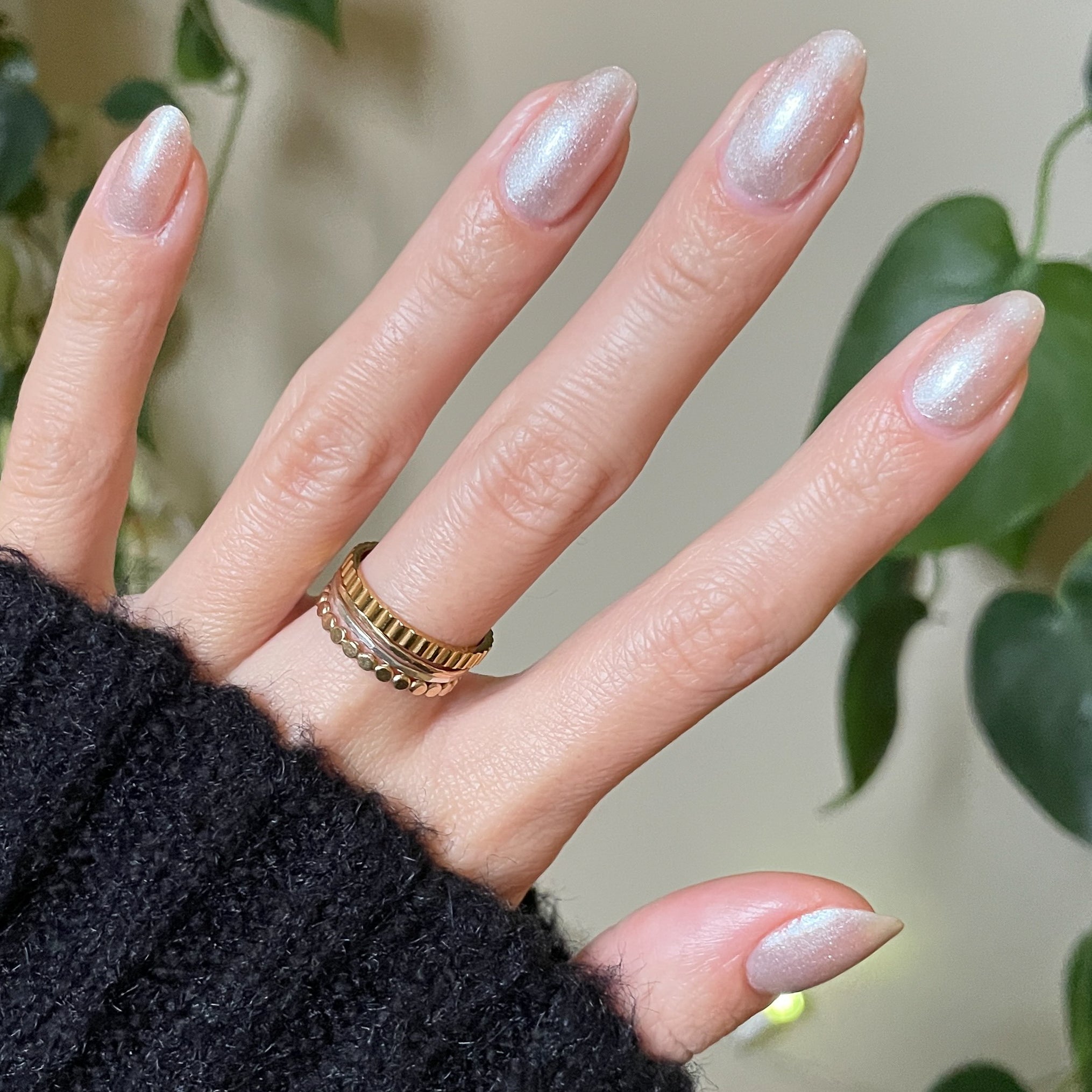 Midnight Disco、mySite、solidvoid