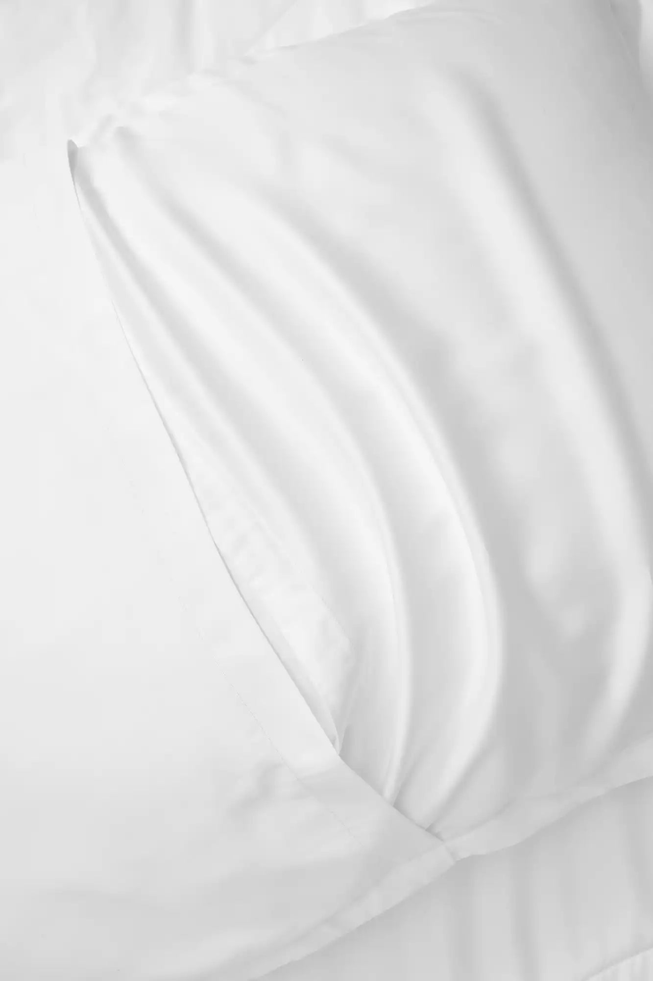  Breeze Shams、mySite、sugarbowlscore