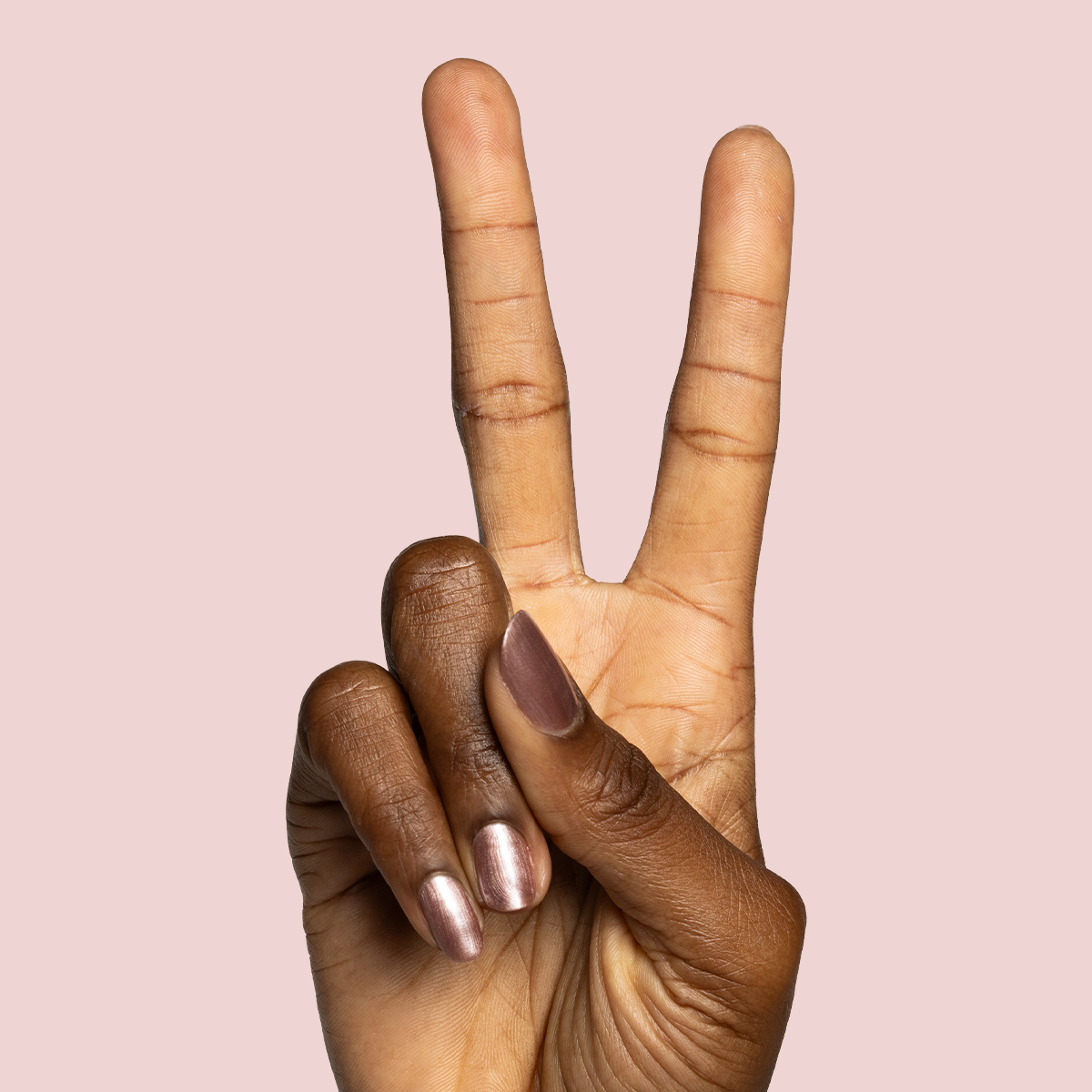 Cosmic Pink、mySite、solidvoid