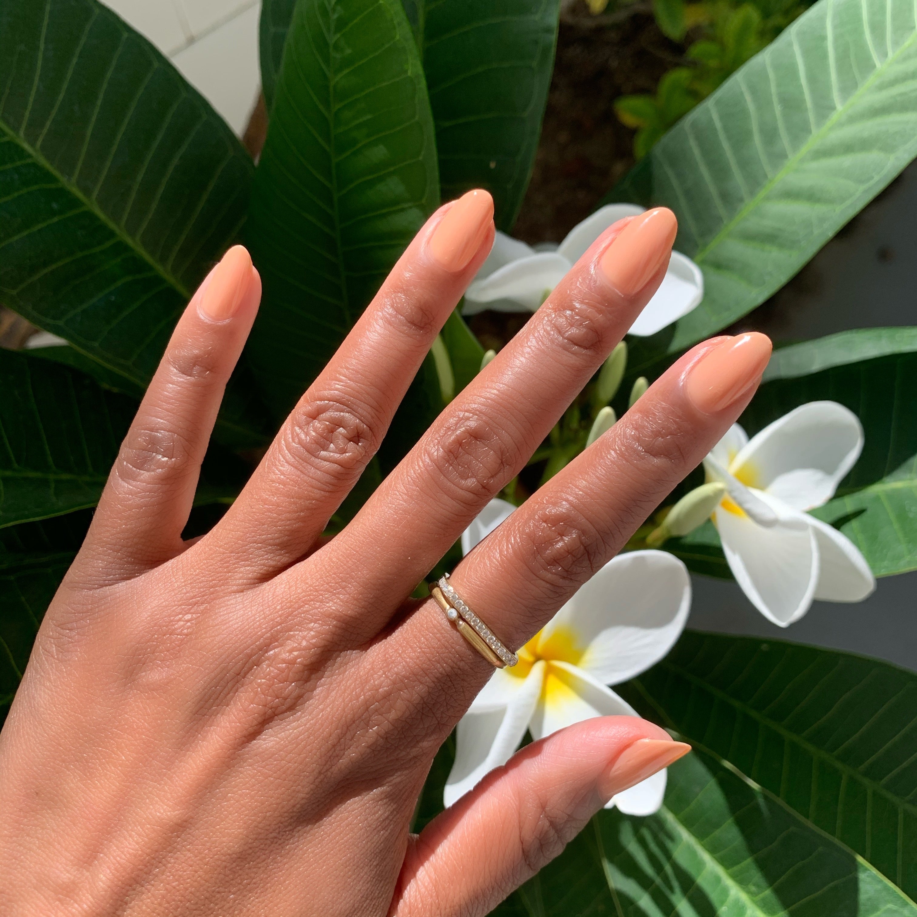 JO、mySite、solidvoid