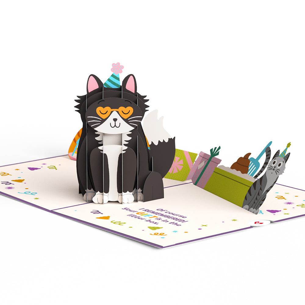 Your Gift Is in the Litterbox Birthday Cat Pop-Up Card、mySite、solidvoid