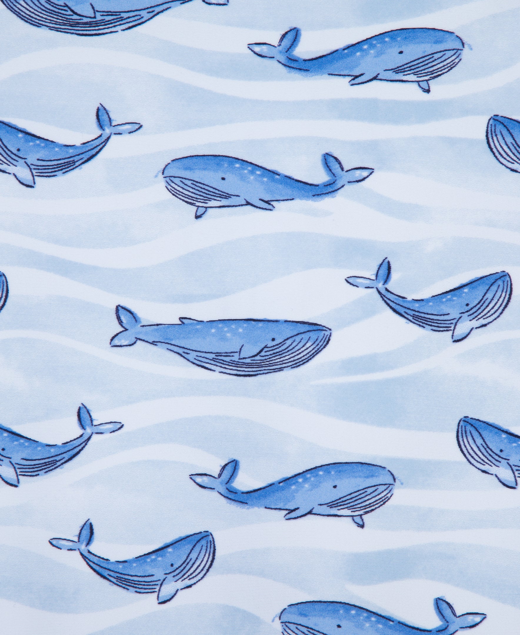  Whale Long Sleeve Rashguard Suit (6M-24M)、mySite、layawaytickets