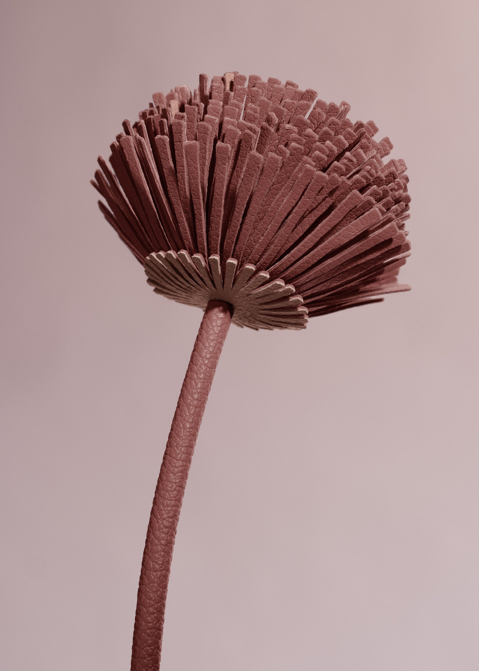 Fleur Tul - Duo Blush Grain茅、mySite、camillekostekn