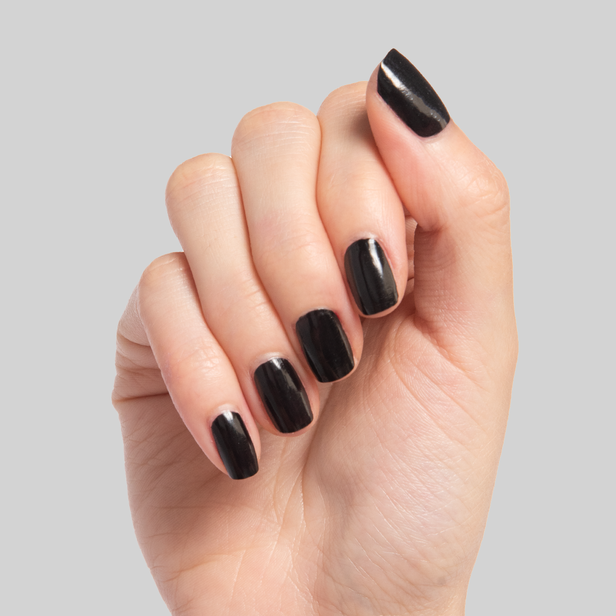 Cateye、mySite、solidvoid