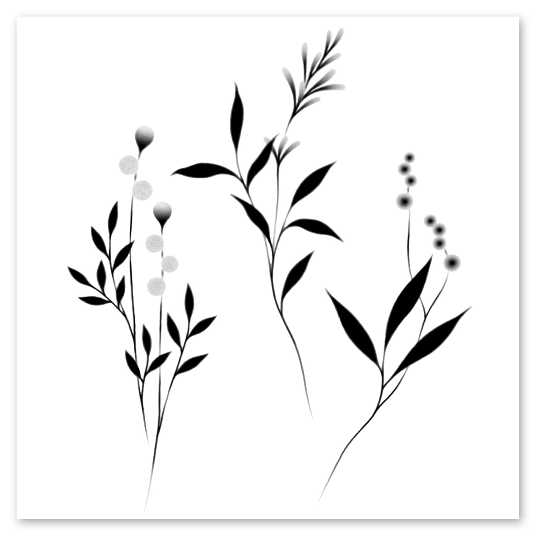  Botanicals Tattly Temporary Tattoos、mySite、ghnorth