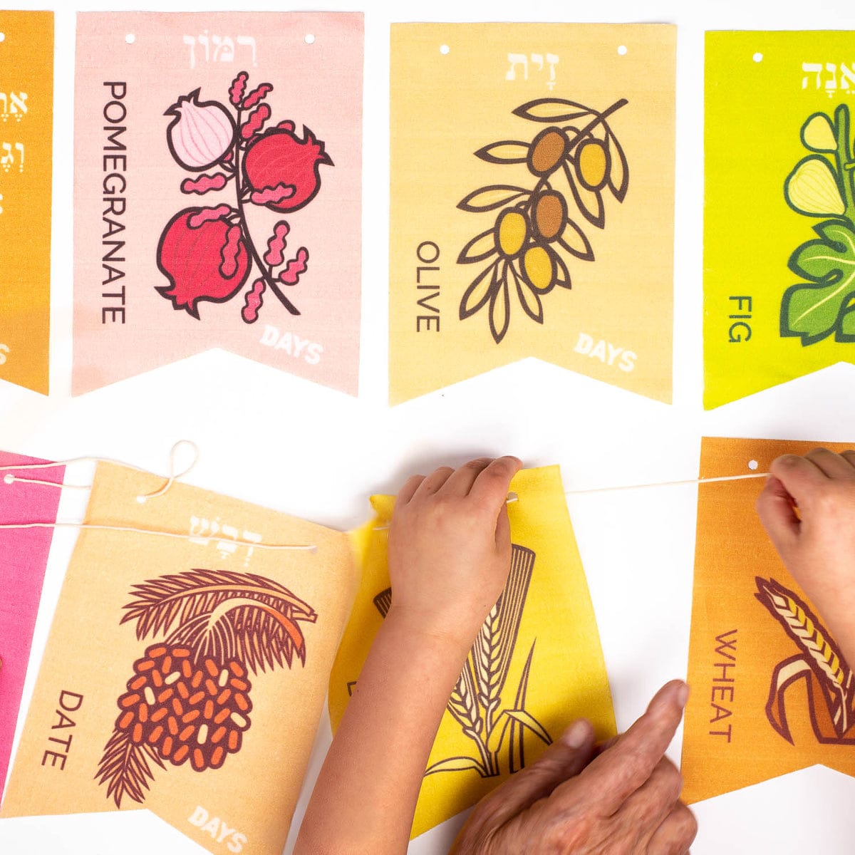 Tu B'Shvat in a Box、mySite、topwebapps