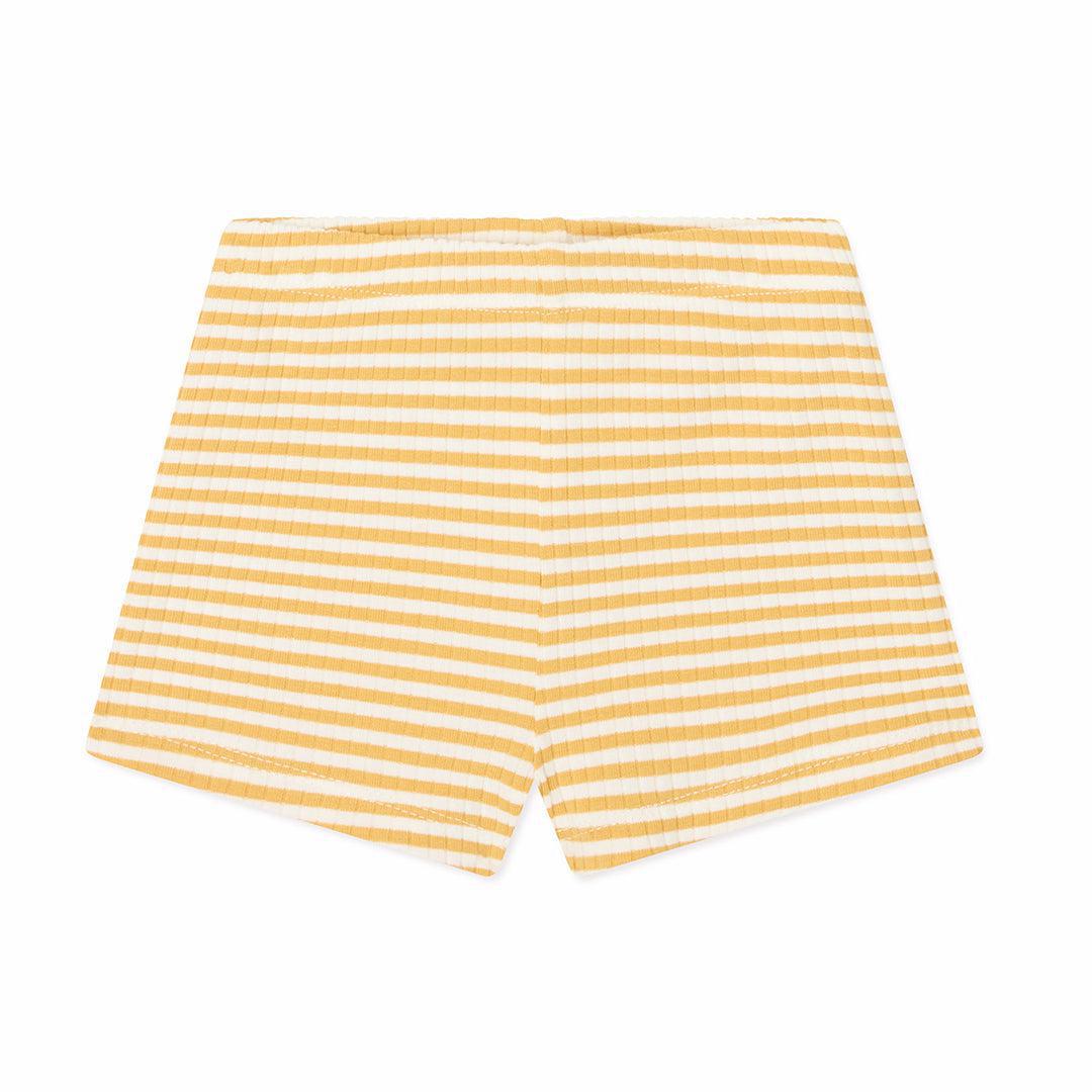  MORI Lion T-Shirt & Stripe Ribbed Shorts - Panda Cream、mySite、merchandisen