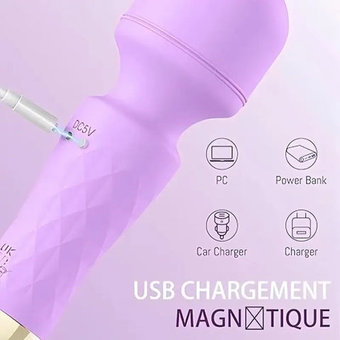 Versatile Dual Wand Vibrator