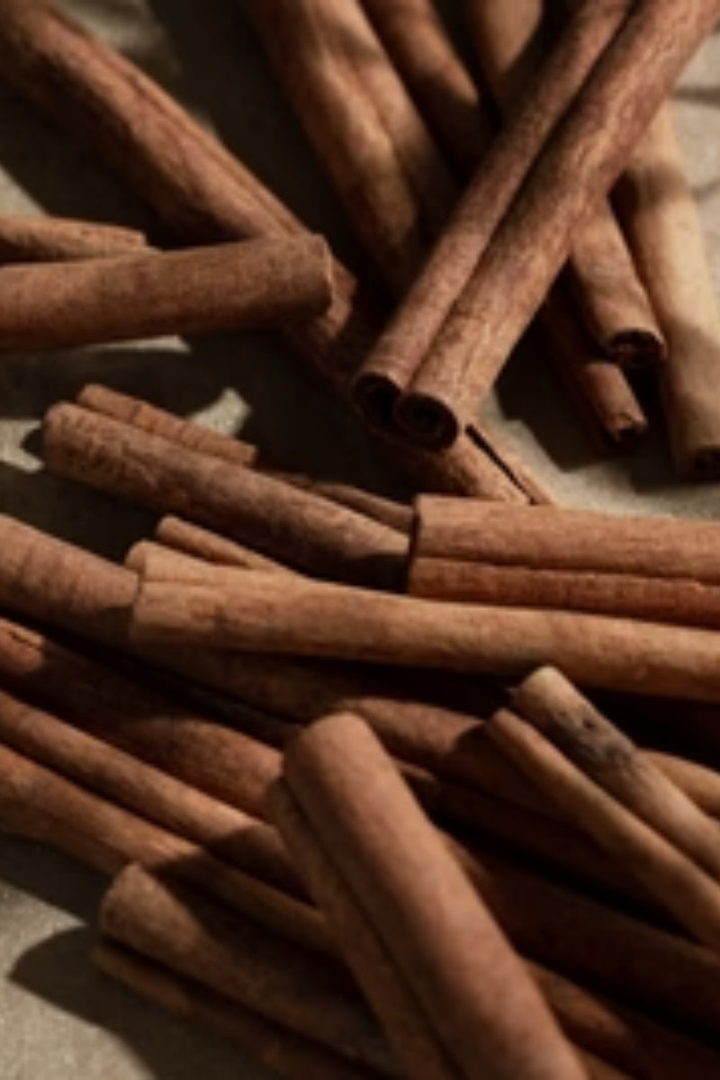 Pura Fragrance Refill - Cinnamon Woods、mySite、hinf8tx79